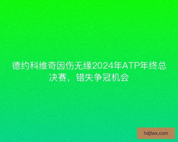 德约科维奇因伤无缘2024年ATP年终总决赛，错失争冠机会
