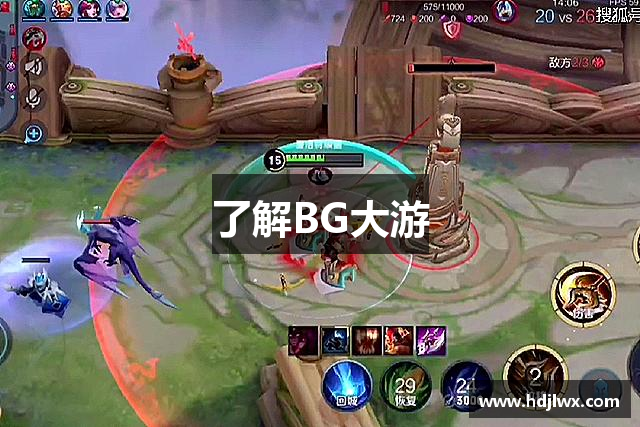 了解BG大游